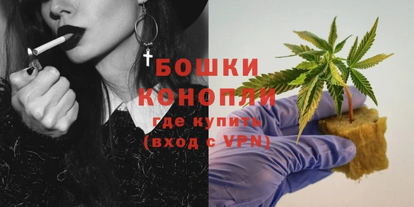 PSILOCYBIN Алексин