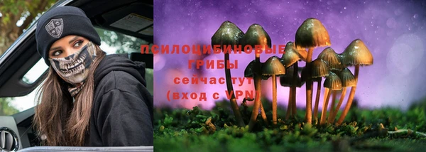 PSILOCYBIN Алексин