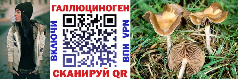 Галлюциногенные грибы ЛСД OMG ССЫЛКА Благодарный