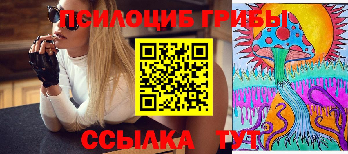 Псилоцибиновые грибы GOLDEN TEACHER Благодарный